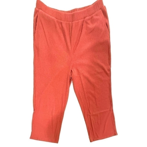 EZ Nina Leonard Ribbed Sweater Knit Pull On Pants Size Large NWT - Picture 3 of 8